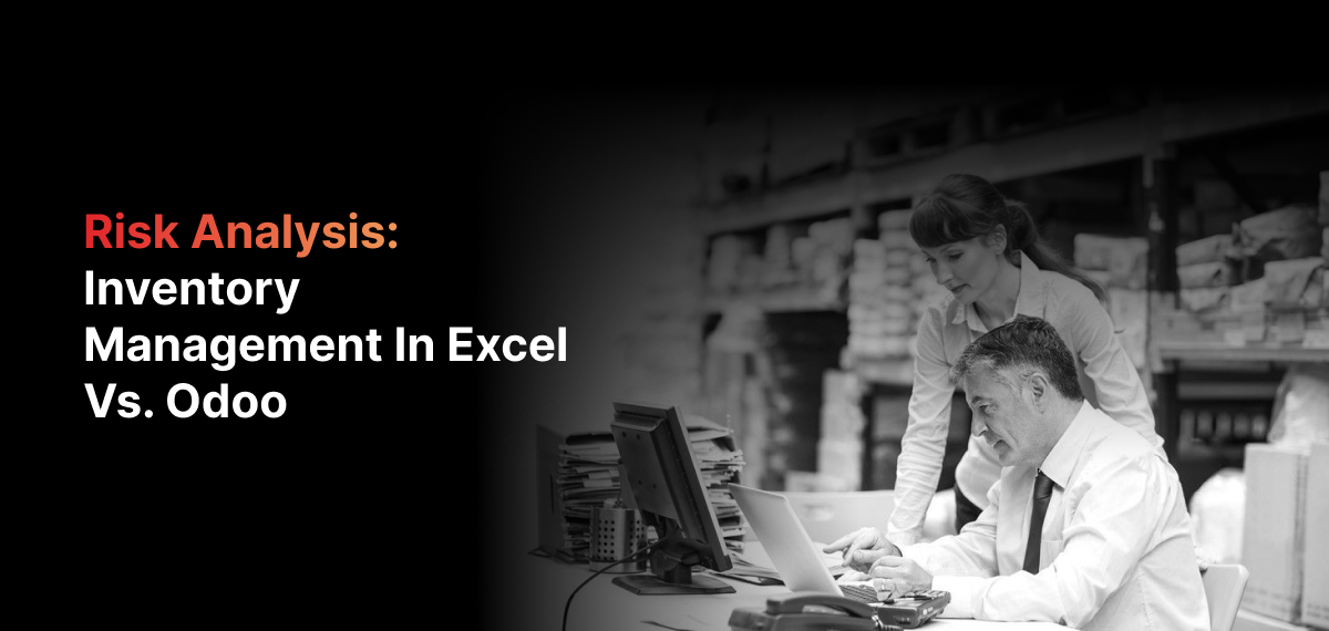 Inventory Risk Analysis Excel Inventory Risk Analysis: $1.1M Loss & Solutions